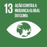 ODS 13